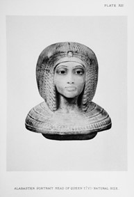 Reine Tiyi, tombe KV55